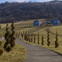 Shakaryan Rancho&Restaurant, hotel u gradu Tumanyan