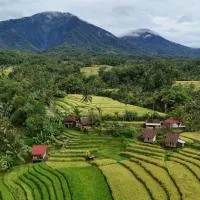 D'Ume Bendoel Homestay, hotel in Jatiluwih