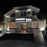 Pensiunea Rodica, hotell sihtkohas Nădlac