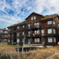 Modern apartment Hovden ski in-out x-skiing, 2 bathrooms and balcony, hotel em Hovden