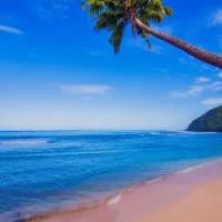 Survivor Samoa Beach Resort, ξενοδοχείο σε Falelatai