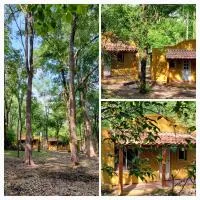 Cabañas Nueve Alamos, hotell sihtkohas Casa Grande