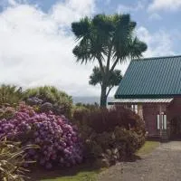 Hilltop guest room, Escape the city!, hotel v destinácii Pukehiki