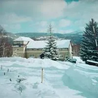 Pension Panorama, hotel v Tanvaldě