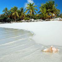 Sagusta Gardens NCA, hotel poblíž North Caicos Airport - NCA, Whitby