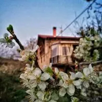BIDEARTEAN, Caserío vasco, Recién reformado, ξενοδοχείο σε Záitegui