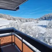 Studio tout confort, ξενοδοχείο σε Lamoura