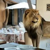 Simba Safaris African Pride Exotic Lodge, hotell sihtkohas Lephalale