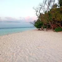 Dhoadhi Beach Maldives، فندق في أومادهو
