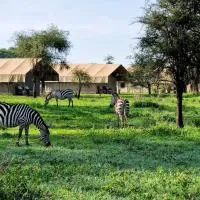 Africa Safari Ngorongoro Ndutu Camping, ξενοδοχείο σε Sinoni