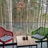 Green peace-Bjelašnica, hotel v destinaci SJJ