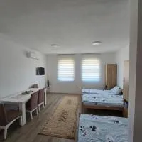 Apartman studio Ðorović 1, hotel Postenje városában
