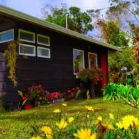 Finca La Picuda Quetzal Cottage, ξενοδοχείο σε Cartago