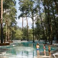 Парк-Готель "Золотий Пляж", hôtel à Orlovshchina