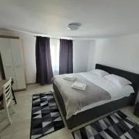 Apartmentul Radu, hotel en Cîrlibaba