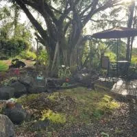 Majestic Banya tree cabin, מלון בMountain View