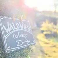 WALD WIESE cottage, hotel em Kurort Steinbach-Hallenberg