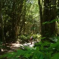 Starlight Olympic Glamping, hótel í Port Angeles
