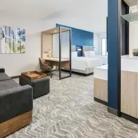 SpringHill Suites by Marriott Dallas Mansfield, hotel u gradu Mensfild