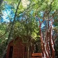 Cabaña Arrayan, hotel di Pucón