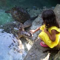 Baraka Aquarium Bungalows, hotell sihtkohas Nungwi