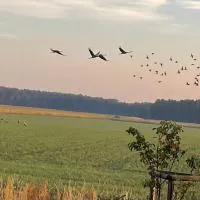 Ferienhaus Naturblick, hotel di Drahnsdorf