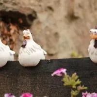 El gallinero de la villana – hotel w mieście Bárcena Mayor