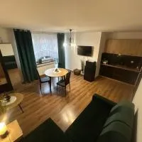 Apartament Mączyńskiego、ヤロスワフのホテル