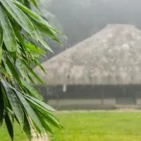 Bamboo Grove, hotel v mestu Mānantoddy