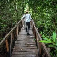 Bahía Solano में, होटल Jardín Botánico del Pacífico y Mecana Ecohotel