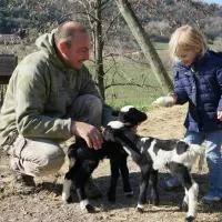 Domaine du Bas Chalus, hotel v destinácii Forcalquier