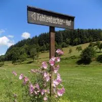 Hotel-Restaurant Kohlenbacher-Hof, hotel em Waldkirch