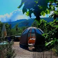 Bulle en bois sous les étoiles, hotel Champfromier városában