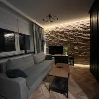 Luksusowy loft nad jeziorem Swarzędz - Poznań TV wi-fi pralko-suszarka piekarnik, hotel di Swarzędz