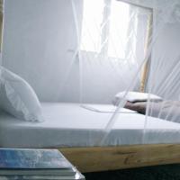 Summit Guesthouse, hotel perto de Beni - BNC, Kasese