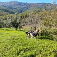 Agriturismo Li Guira, хотел в Stio
