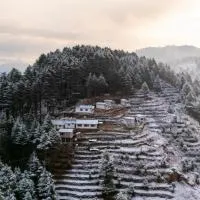 The Deodar Stays, hotel a Kanatal