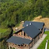 SVOI Chalet, hotel a Vyshka