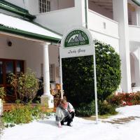 Mountain View Country Inn, hotel di Lady Grey