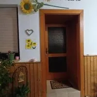 Sonnenblume Apartment, hotel in Oggau