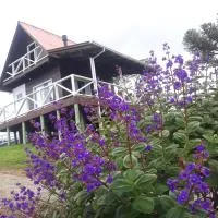 Cabana Sítio Costãozinho, hotel v destinácii Bom Retiro