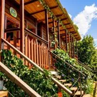 Ecodreamers Curiti, hotel v destinaci Curití