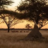 Fiume Lodge CC, хотел в Grootfontein