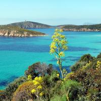 d&eacute;pendance President villa Tuerredda โรงแรมในเกีย