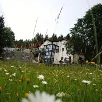 Gastinger Hotel-Restaurant, hotel v destinaci Schmiedefeld am Rennsteig