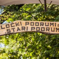 Hotel Stari Podrum, hotell i Ilok