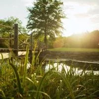 Cedar Creek, hotel di New Haven