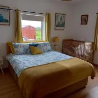Connemara sea side house, dog paradise!، فندق في Leagaun