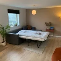 Central and modern apartment, Hotel in Hamar