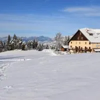 Gite montagnard du Fanget, hotel en Auzet